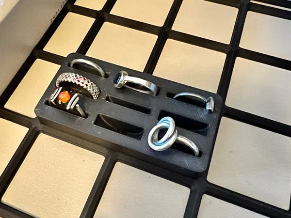 https://makerworld.bblmw.com/makerworld/model/USa830c3f9c29cdf/design/2024-12-13_9d9f840f6f79e8.jpg