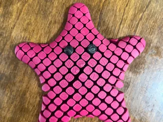 Flexi Starfish With Eyes