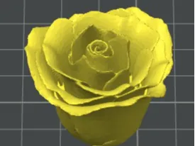 Small Easy Rose