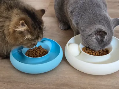 Cat Toy Food Bowl Donut Infinity - Print In Place