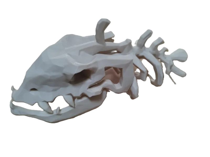 Splashtail Bones