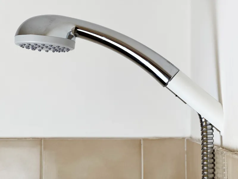 Reno shower holder