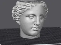 0.2mm layer, 2 walls, 100% infill
