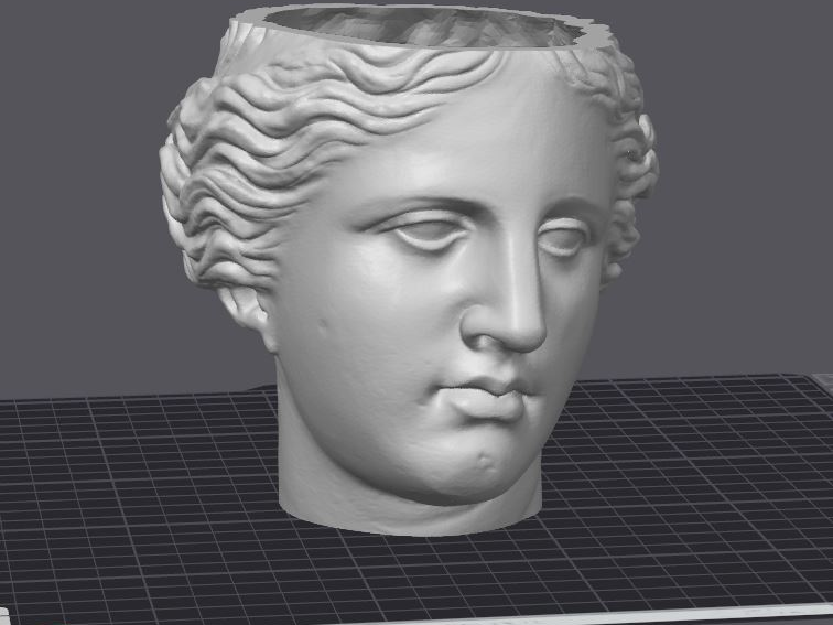 Maceta Venus