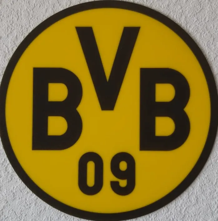 Borussia Dortmund 09