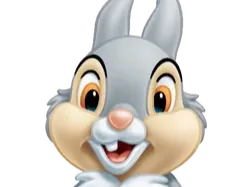 Tambor Bambi
