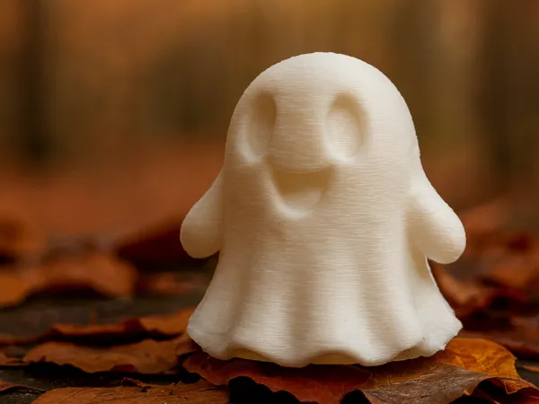 https://makerworld.bblmw.com/makerworld/model/USa845563f9ebf09/design/2025-09-28_1f1397a06ff35.png