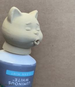https://makerworld.bblmw.com/makerworld/model/USa847123f89036d/design/2025-04-14_524310799fed8.gif