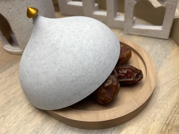 https://makerworld.bblmw.com/makerworld/model/USa8479cd5080785/design/2025-03-14_6bf815543fc9.png