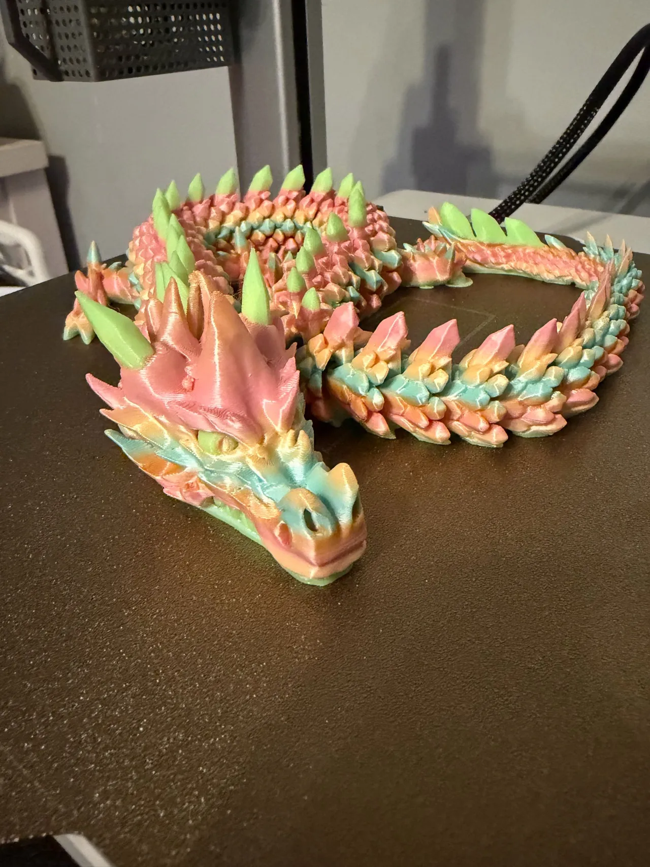 Large articulated dragon view 2