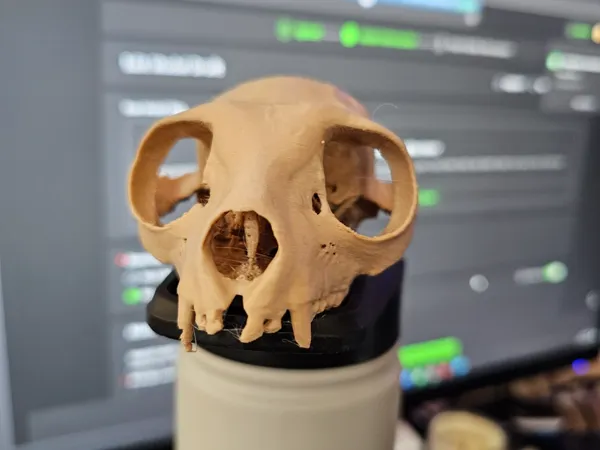 https://makerworld.bblmw.com/makerworld/model/USa849799d18a732/design/fc1067cd61c136fe.jpg