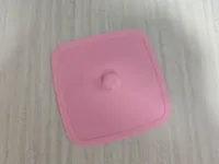 盖子(Lid)  0.2mm 层高, 2 层墙, 30% 填充