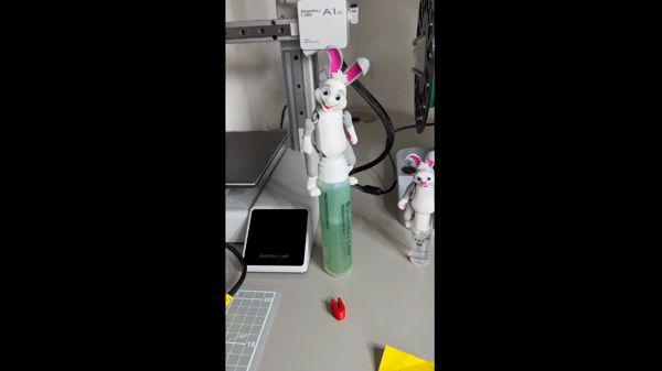 https://makerworld.bblmw.com/makerworld/model/USa84a7e2069860f/design/2024-02-13_ee197a9039a1.gif
