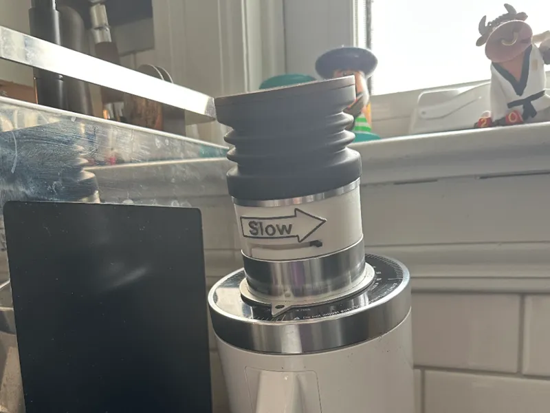 DF64 Slow feeder