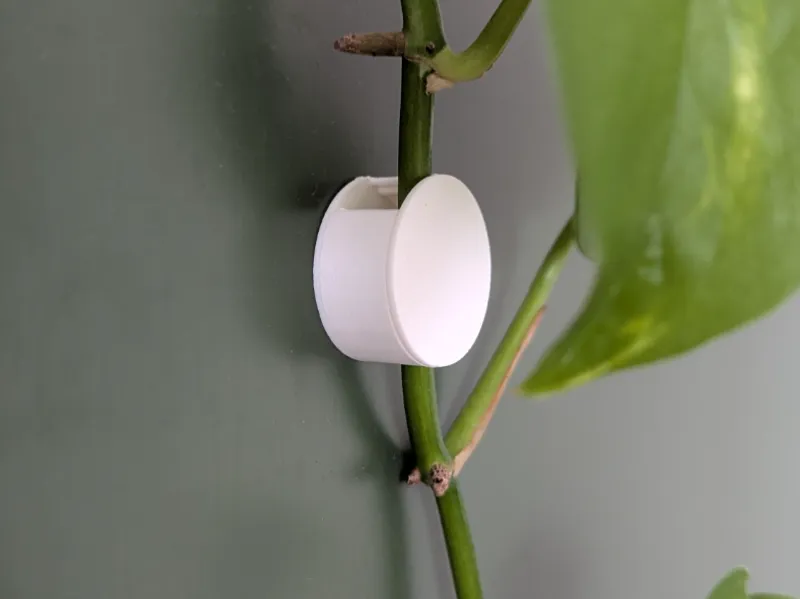 Wall Plant Clip