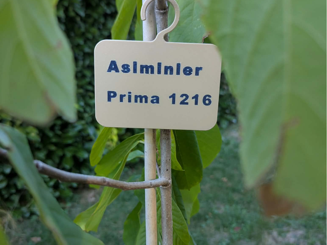 Pancarte personnalisable à accrocher 3D model