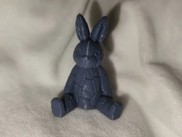 https://makerworld.bblmw.com/makerworld/model/USa85118a565b664/design/1c372ed9ffb60e54.jpg