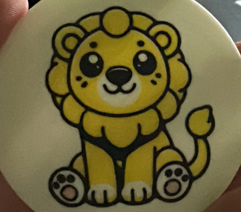 Lion Coaster