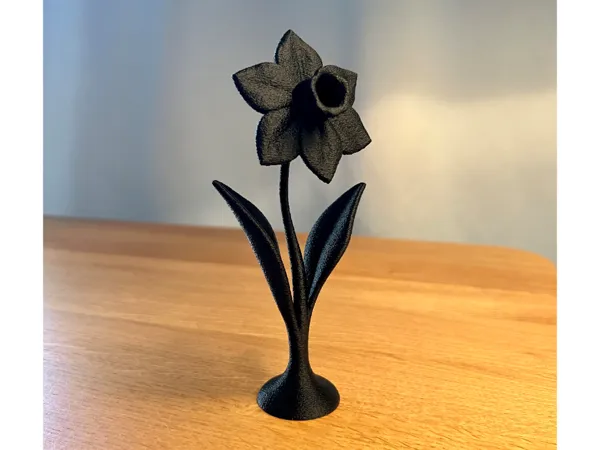 https://makerworld.bblmw.com/makerworld/model/USa852e7bb3a39f0/design/2025-05-09_ea9b48db3dd5a8.jpg