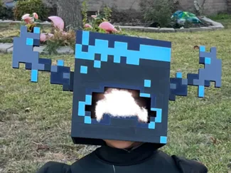 Minecraft Warden Children's Mask