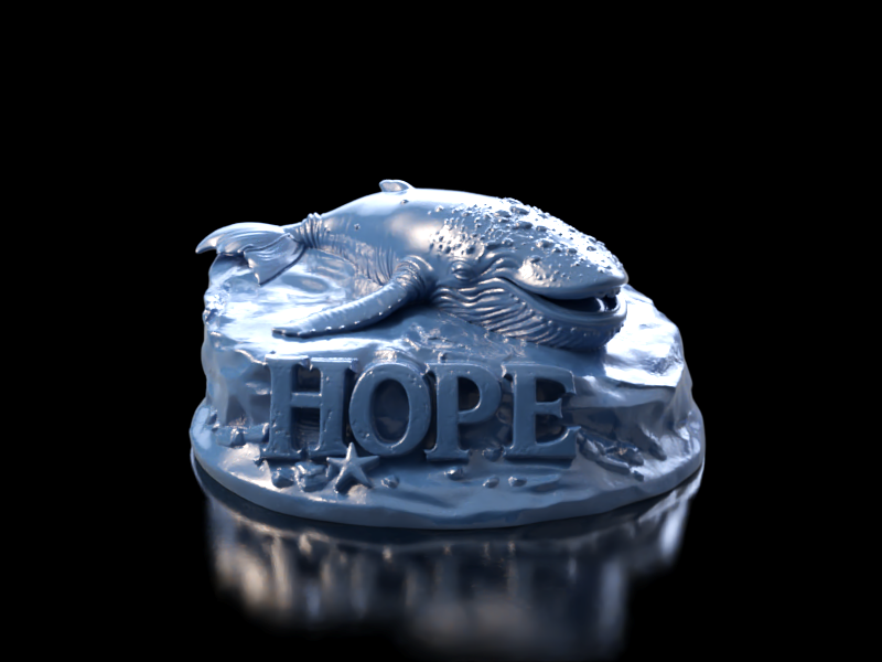 Timmy "Hope"  - Wal in der Ostsee