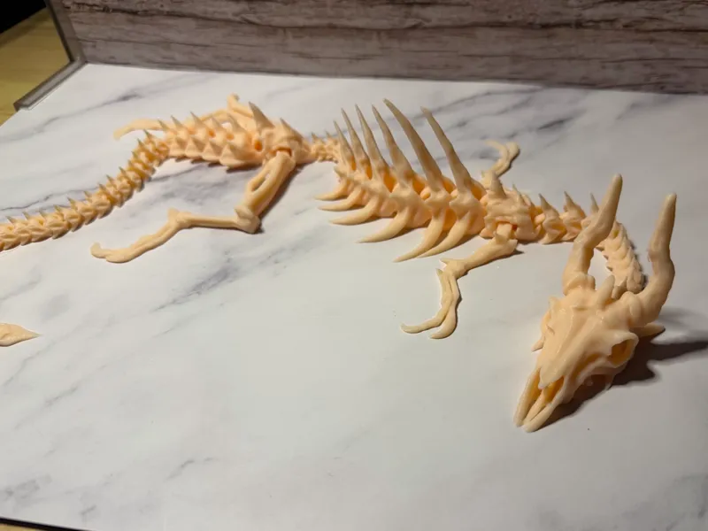 Large Articulated Bone Dragon Skeleton – 24”