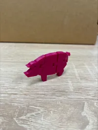 Cochon flexible — photo 2