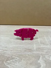 Cochon flexible — photo 3