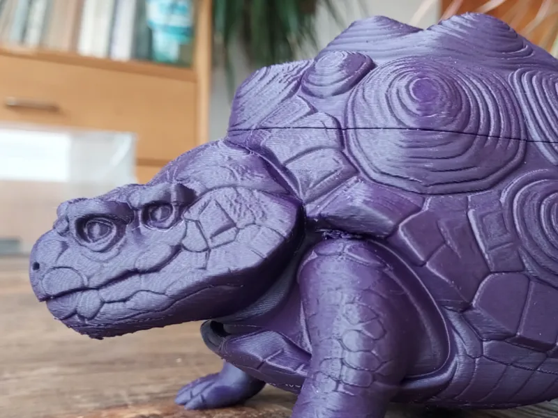 Turtle Box