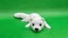 The Arctic Flexi-Weasel