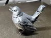 Baby Nightingale