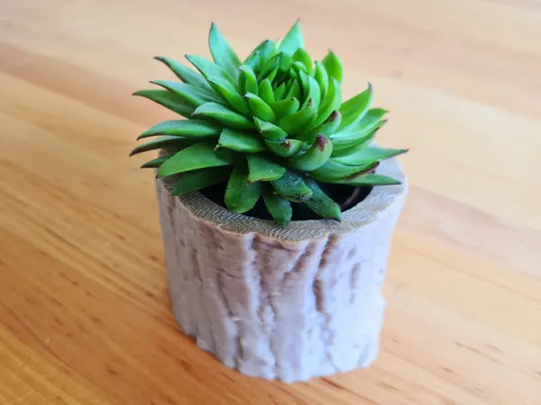 https://makerworld.bblmw.com/makerworld/model/USa861603955e535/design/2024-06-30_9pw86dk00n7b.png