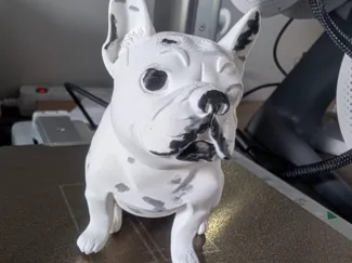Buldog Francês