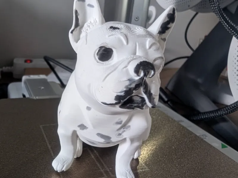 Buldog Francês