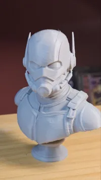 0.16mm layer, 2 walls, 10% infill