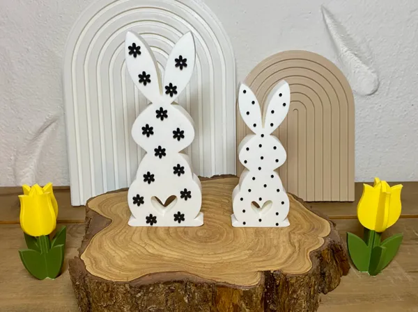 https://makerworld.bblmw.com/makerworld/model/USa86b59f1a8e9b0/design/7f25a8d34d5bccd5.jpeg