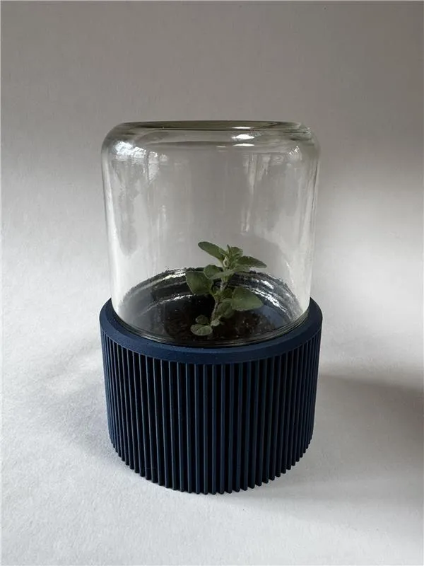 Mini Mason Jar Green House view 4