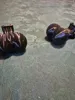 TPU/PETG Smooth Sack