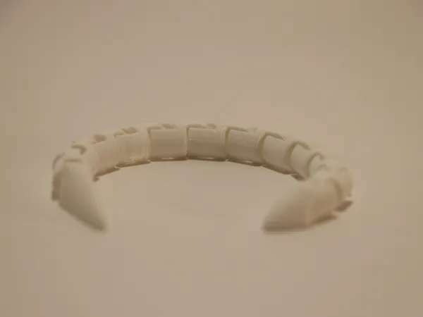 https://makerworld.bblmw.com/makerworld/model/USa87aa278490069/design/2025-09-04_e2cf9920192628.jpg