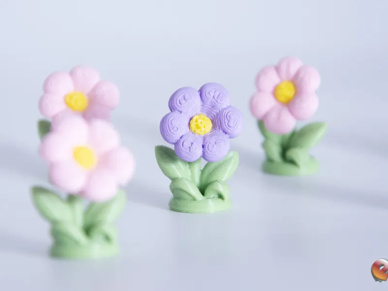 Dollhouse Flower Plant