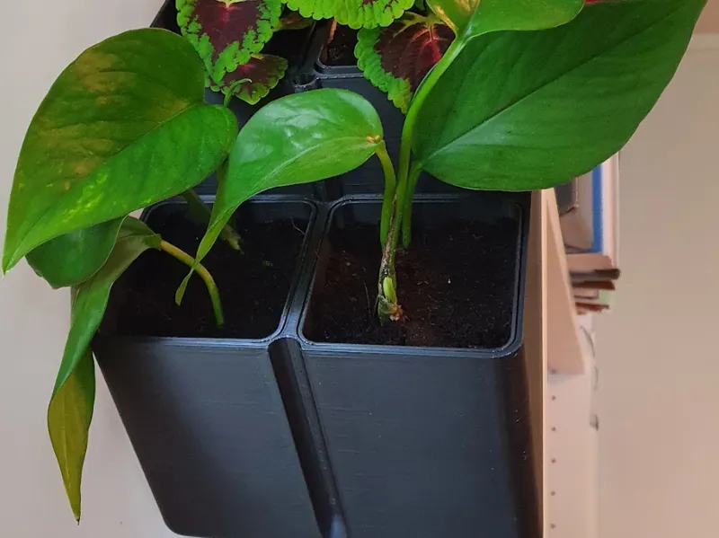 Self watering  stackable wall mountable pot system