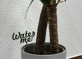 Water me plant sign