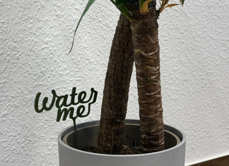 Water me plant sign