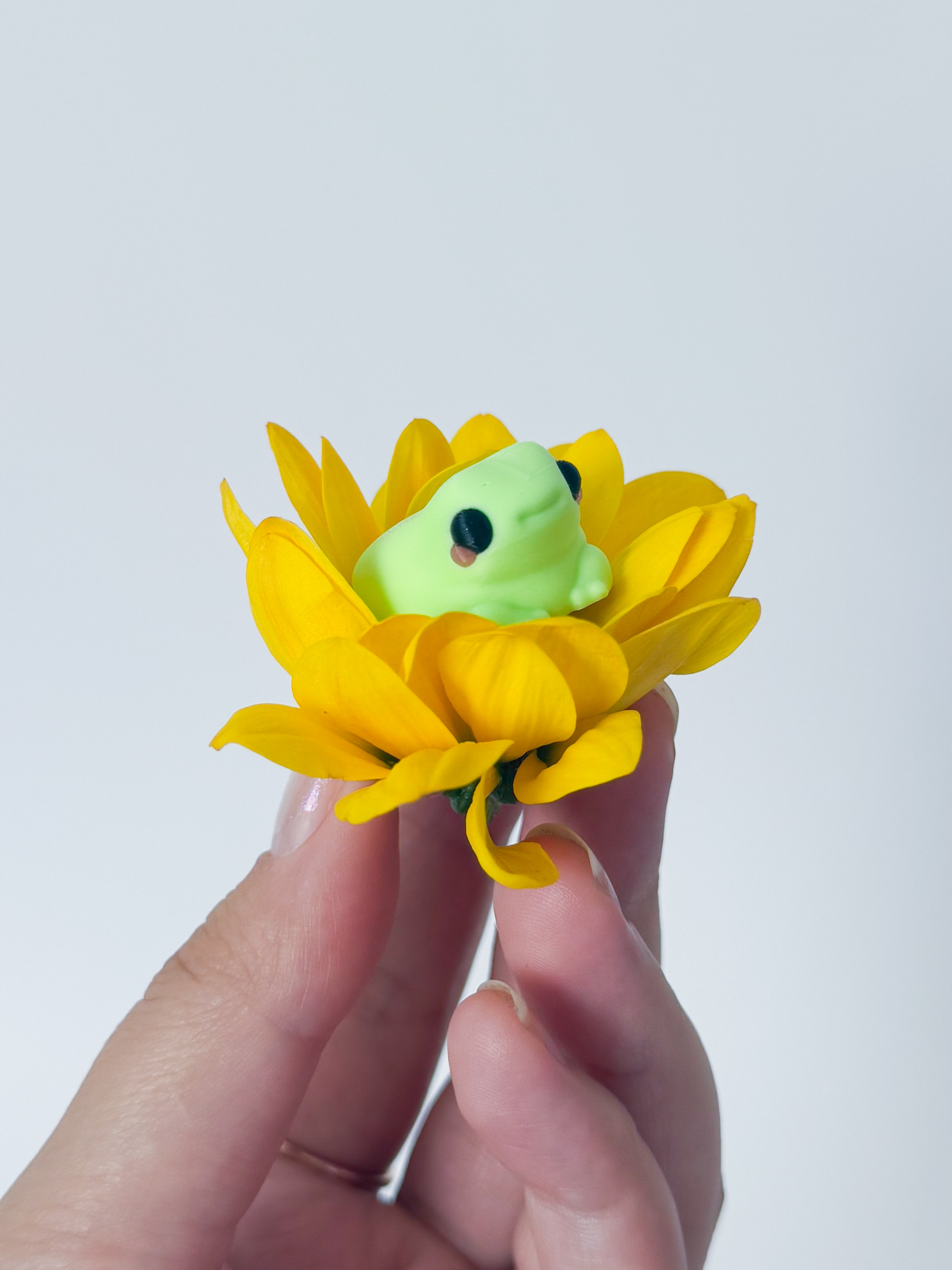 Miniatura 2 do modelo 3D Mini Frog Magnets
