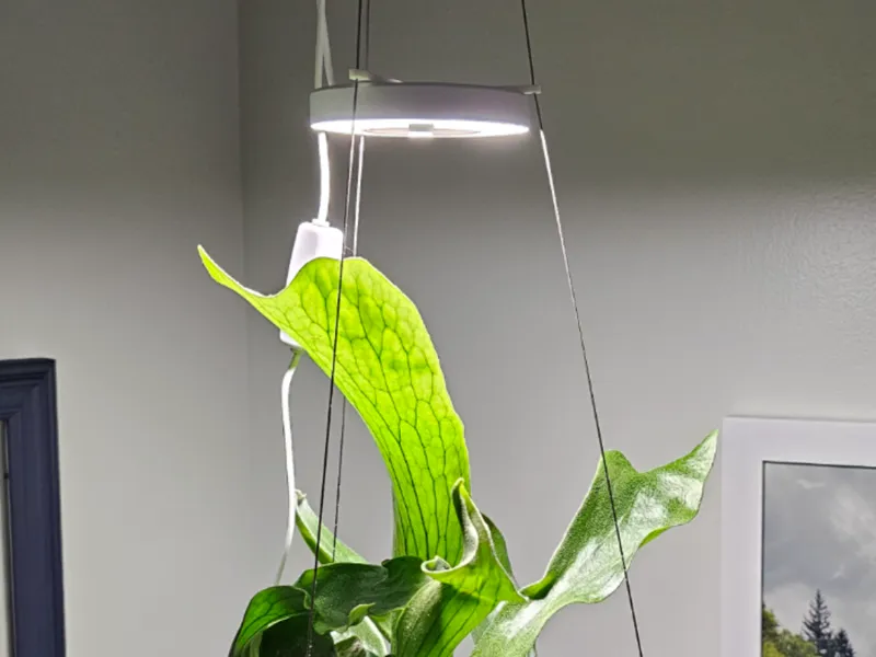 eco pots hanging pot grow light ring holder