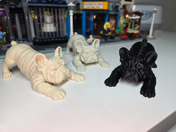 https://makerworld.bblmw.com/makerworld/model/USa88a80522a510/design/e6a5fee5f39b8b52.jpeg