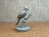 Bluejay