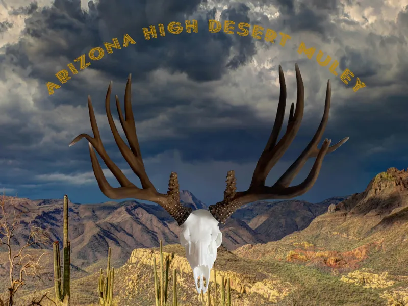 Arizona High Desert Muley