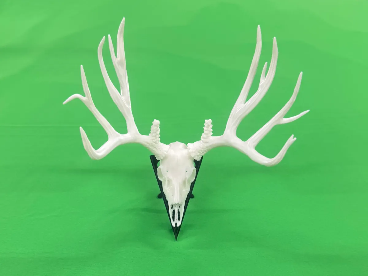 Muley Arizona High Desert Muley - Free 3D Print Model - MakerWorld