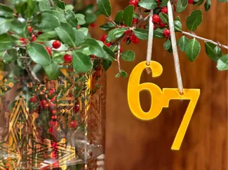 67 Ornament